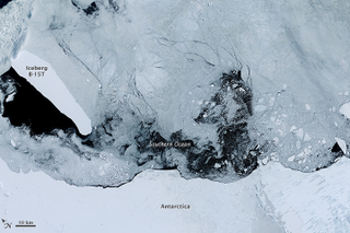 Iceberg B-15T as it appeared in 2015. Image: Joshua Stevens, using Landsat data from the U.S. Geological Survey/NASA